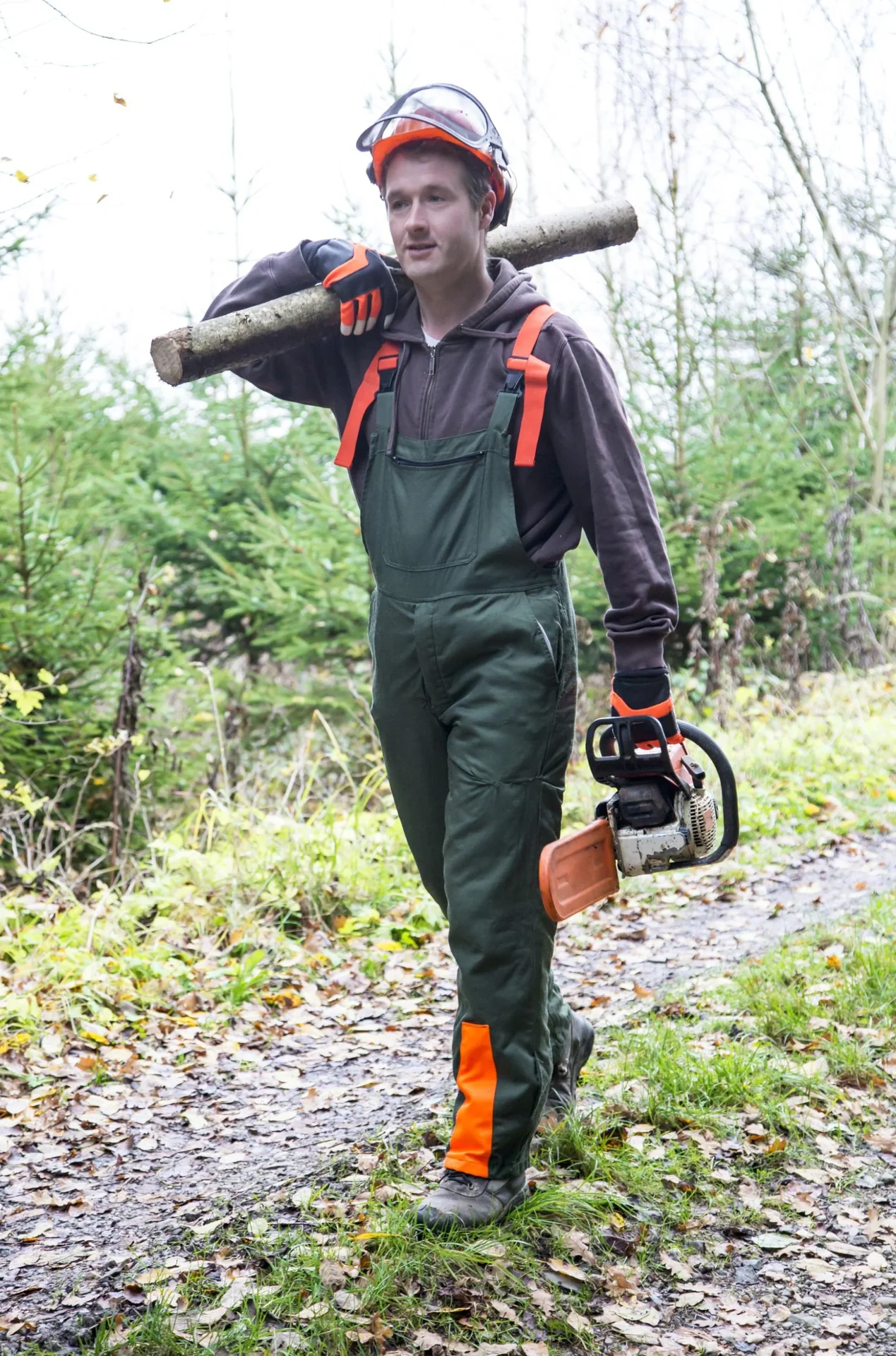 Motorsägenhandschuh Forester Gr. 9/L - 3