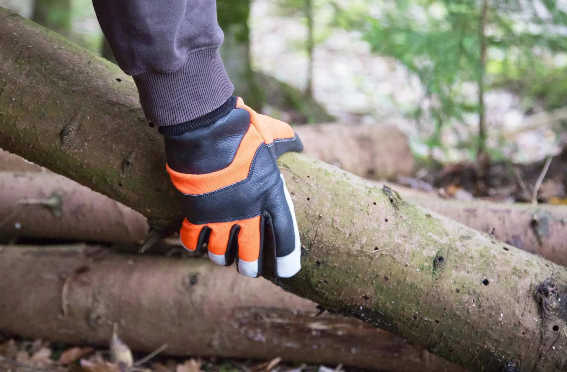 Motorsägenhandschuh Forester Gr. 9/L - 4