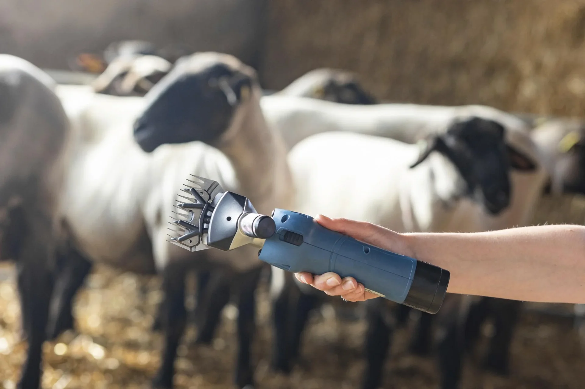 FarmClipper Akku2 für Schafe - 2