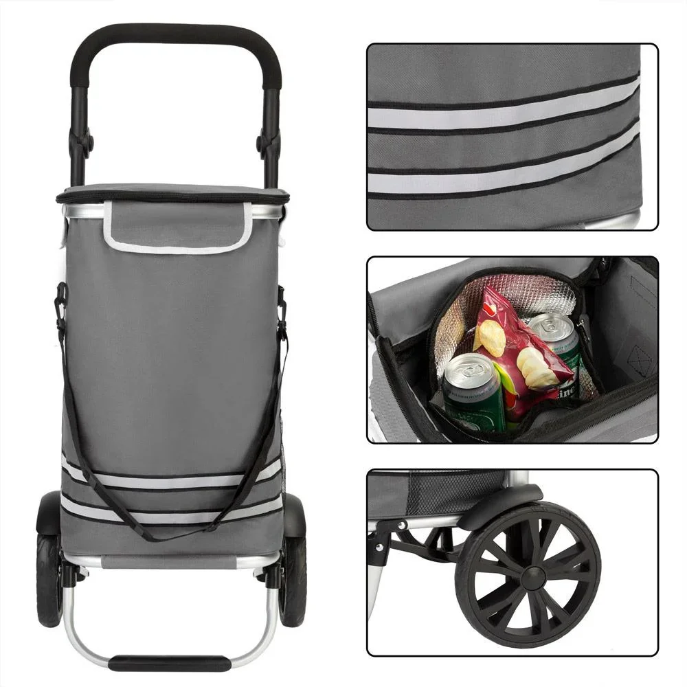 Einkaufswagen grau Aluminium 35L 31x24x54cm - 1