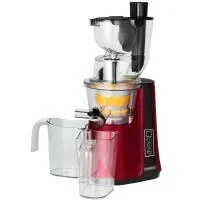 Saftpresse für Gemüse und Obst - 4