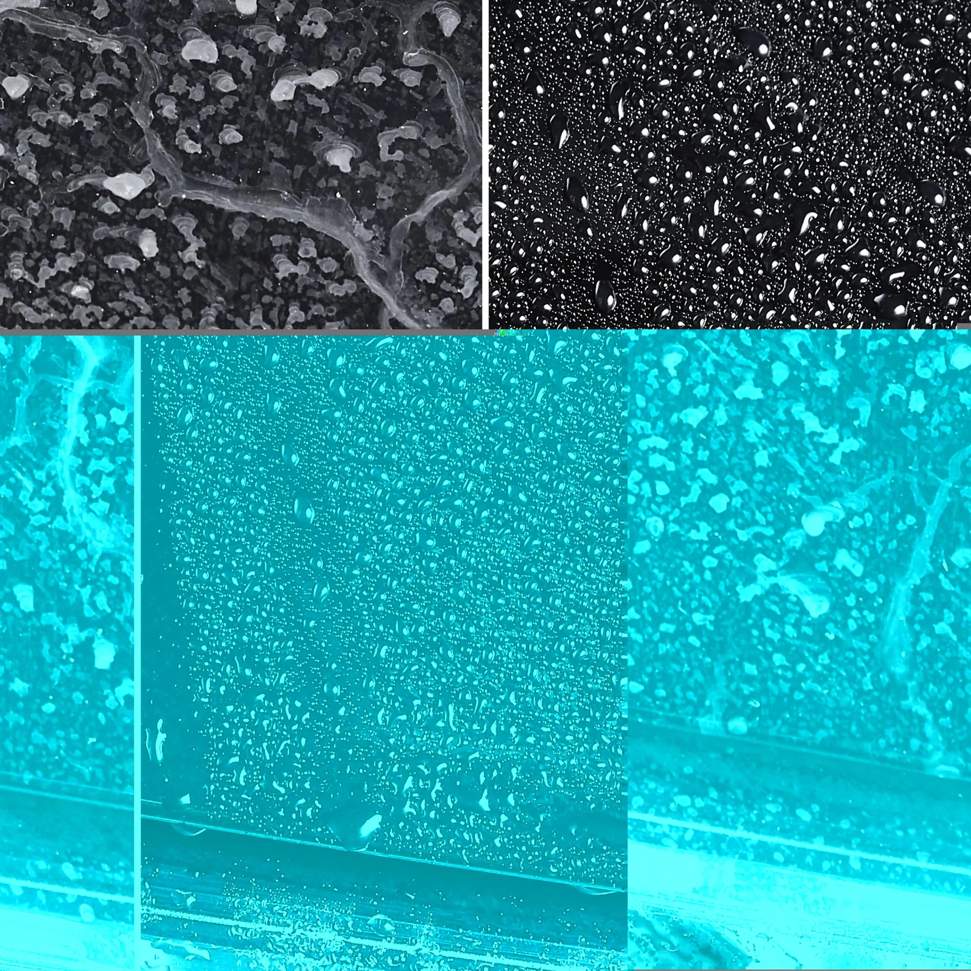 Wasch+Wax 1 l - 1