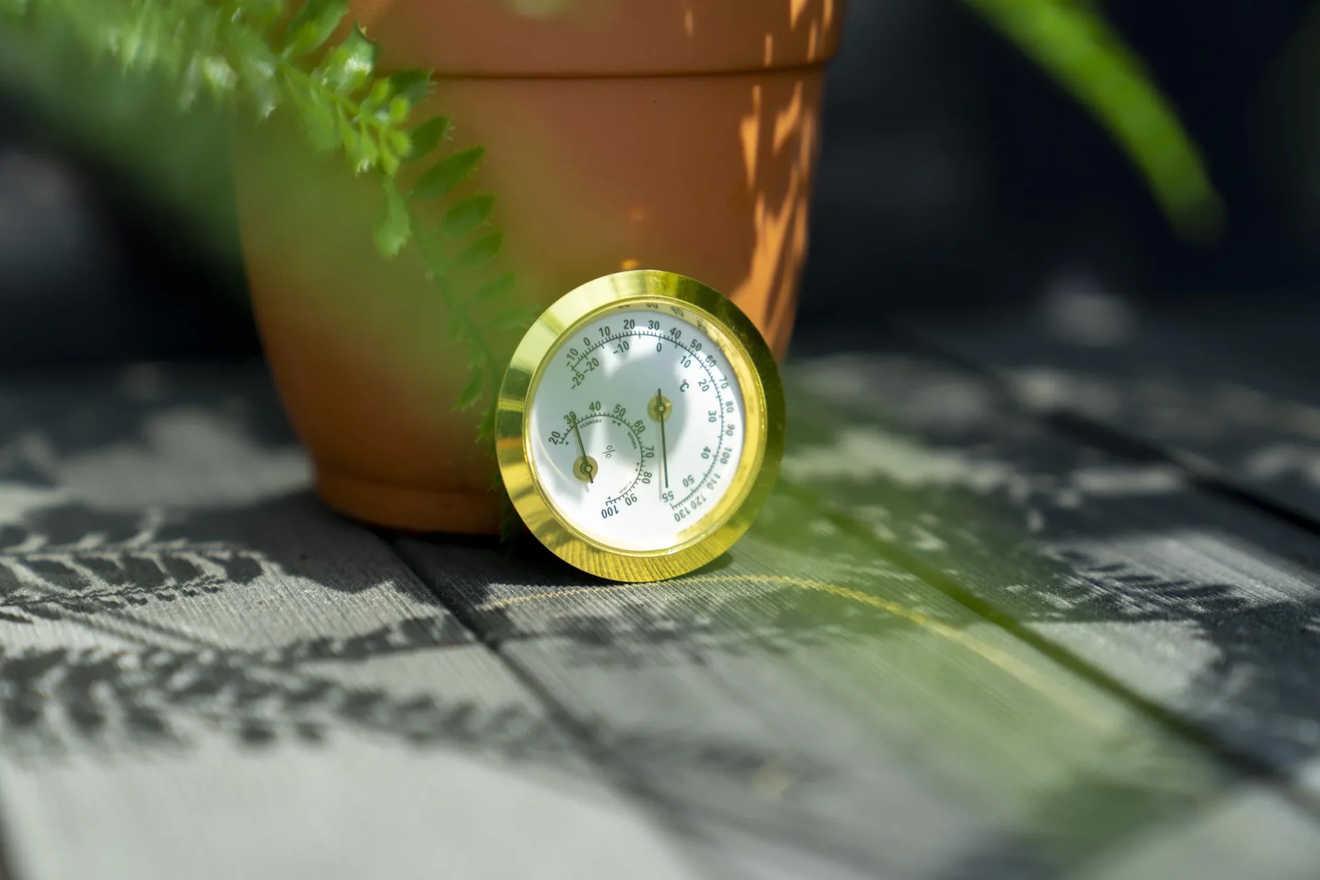 Hygrometer - 1
