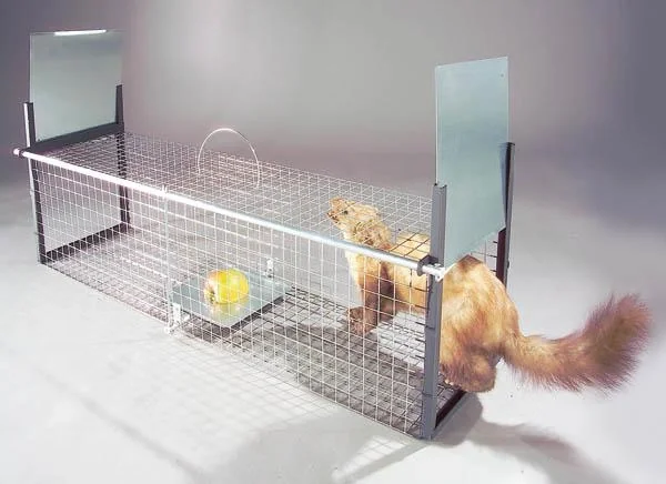 Lebendfalle f. Marder, Iltis, Katze, Kaninchen, 26x26x105 cm, 4,2 kg - 2