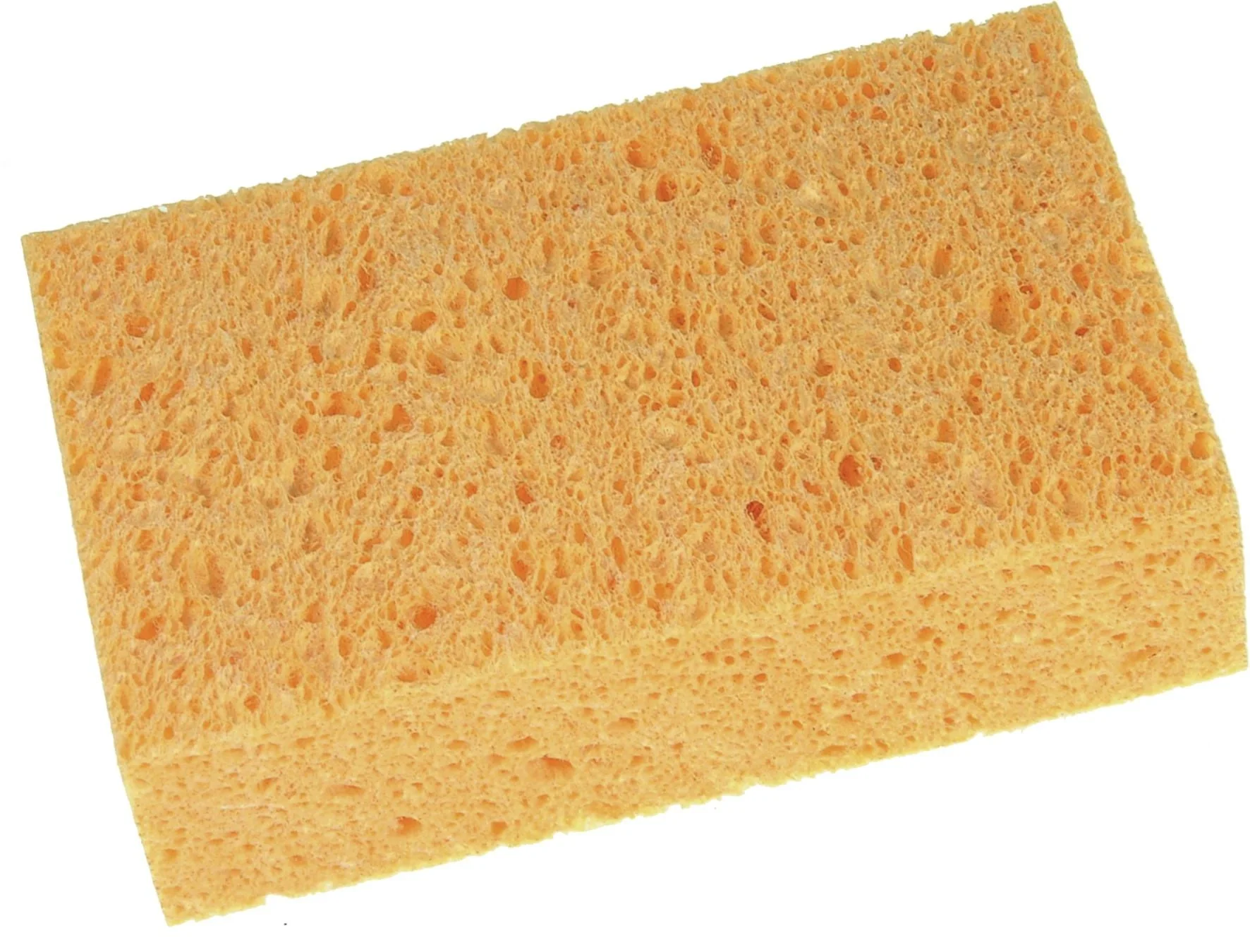 Allzweckschwamm - 2