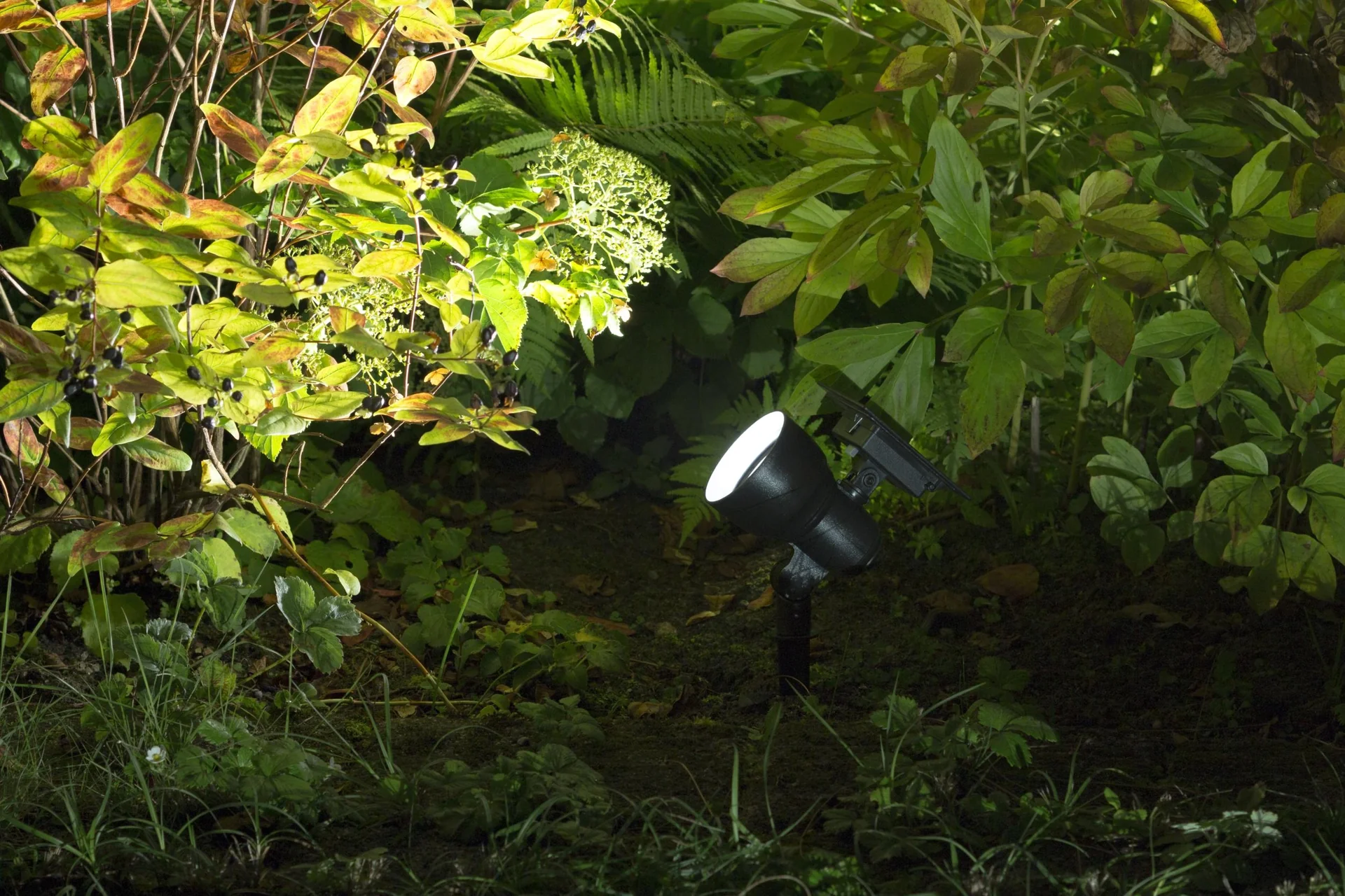 Solar LED Spot - 7