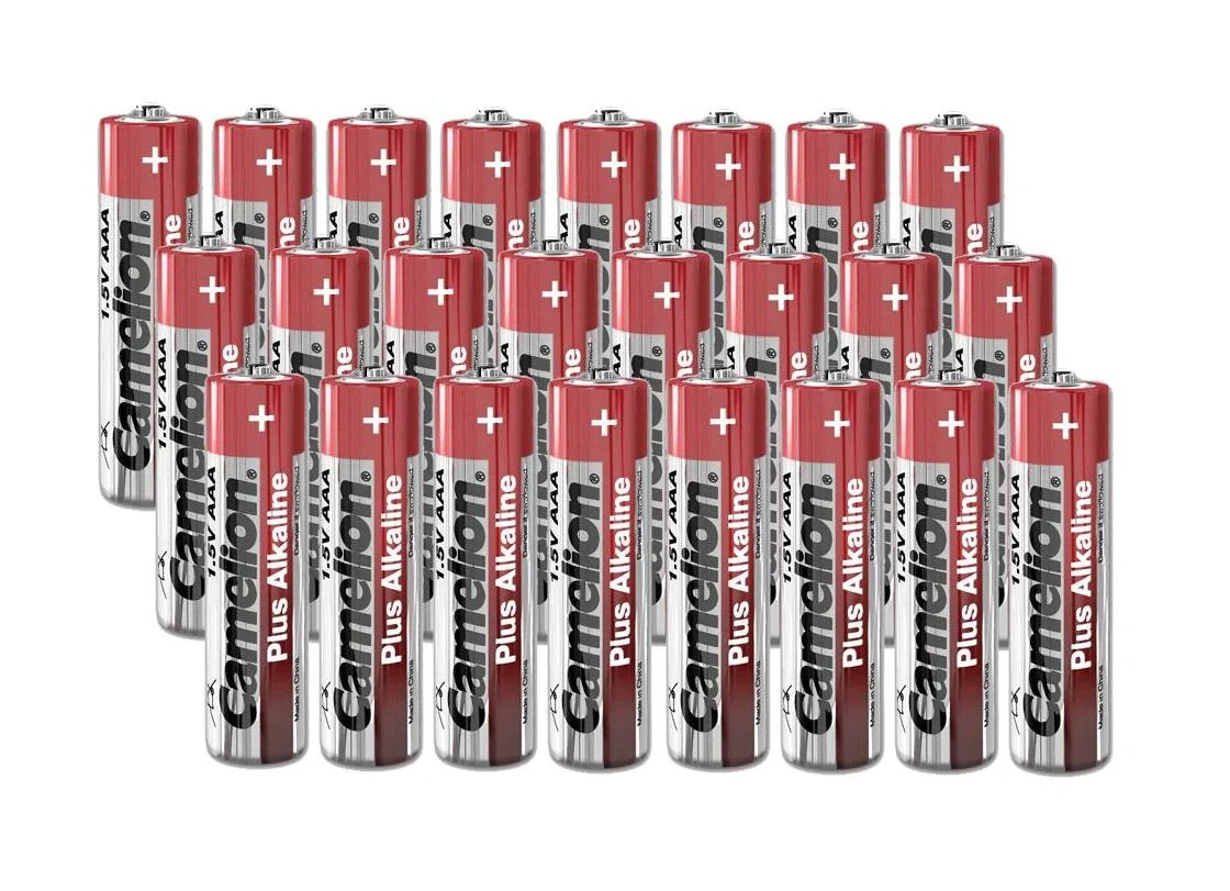 Plus Alkaline Micro (AAA) Batterie - 24 Stück - 2