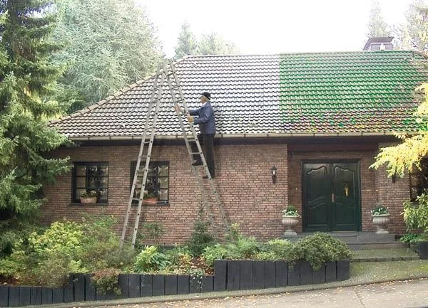 Dachreiniger 1 l - 1