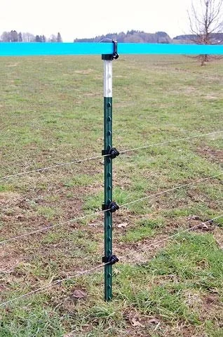 Metallpfahl T-Post, 167 cm, 200 Stück - 5
