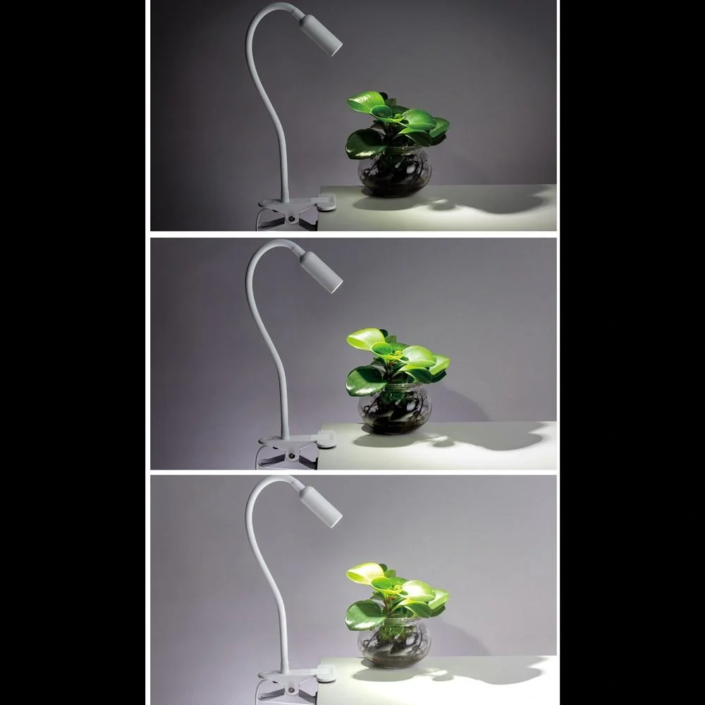 LED-Wandleuchte Miza Weiß - 10