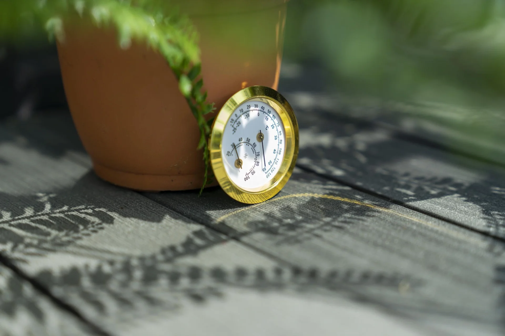 Hygrometer - 4