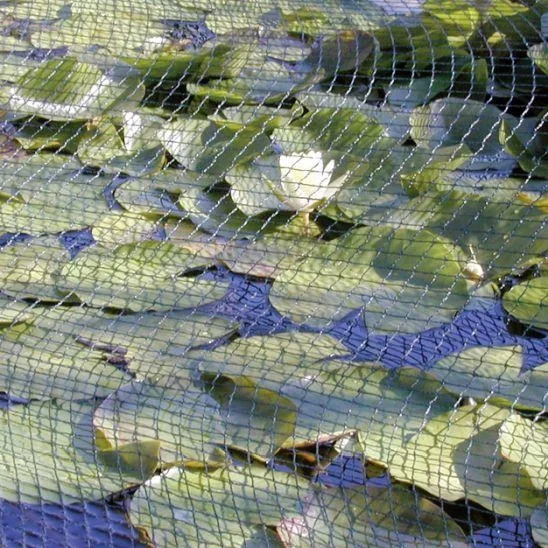 Laubschutznetz - 2 x 3 m - 1