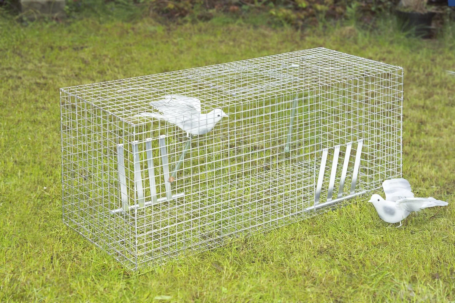 Taubenfalle, 102 x 42 x 36 cm - 3