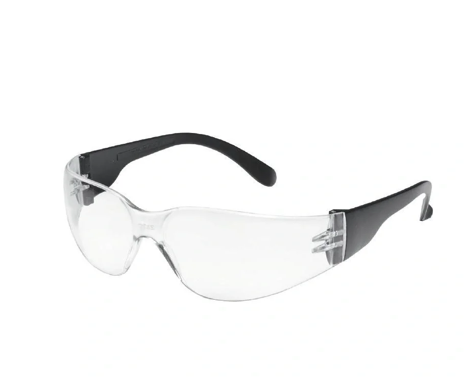 Schutzbrille Champ Tector, Scheibe klar - 3