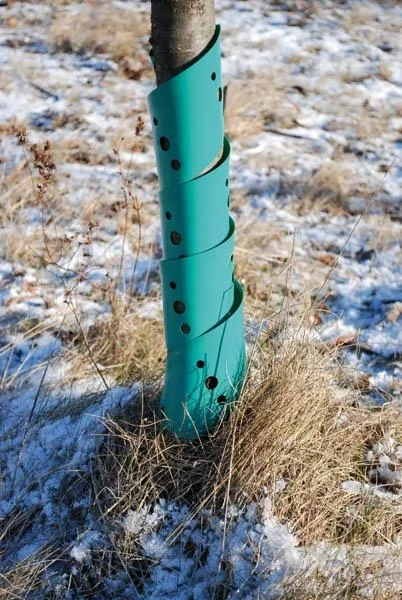 Baumspirale, 60 cm, 2 Stück - gegen Wildfraß an jungen Bäumen - 2