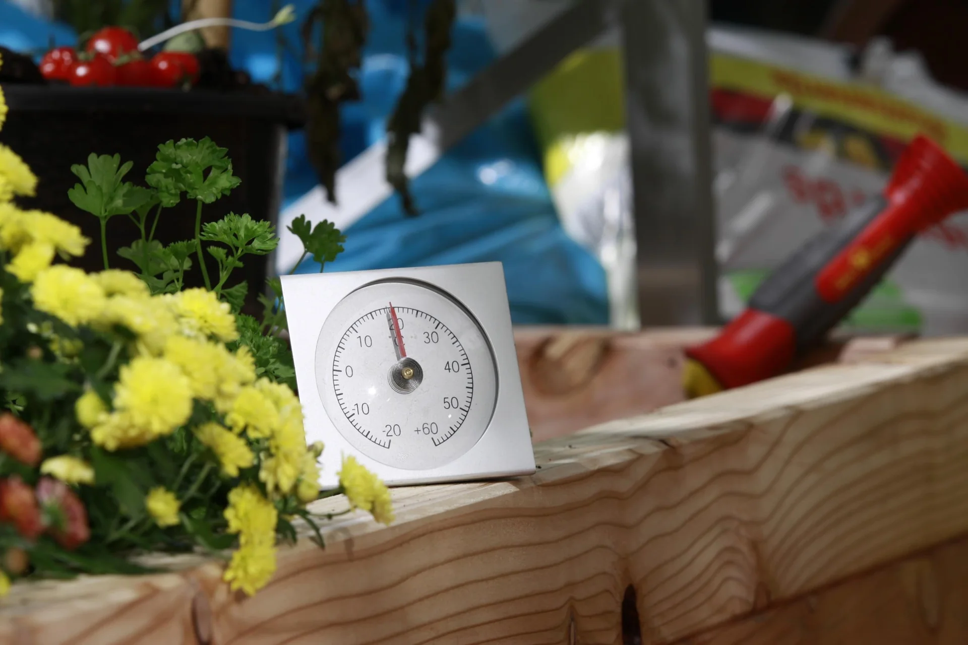 Thermometer - 3