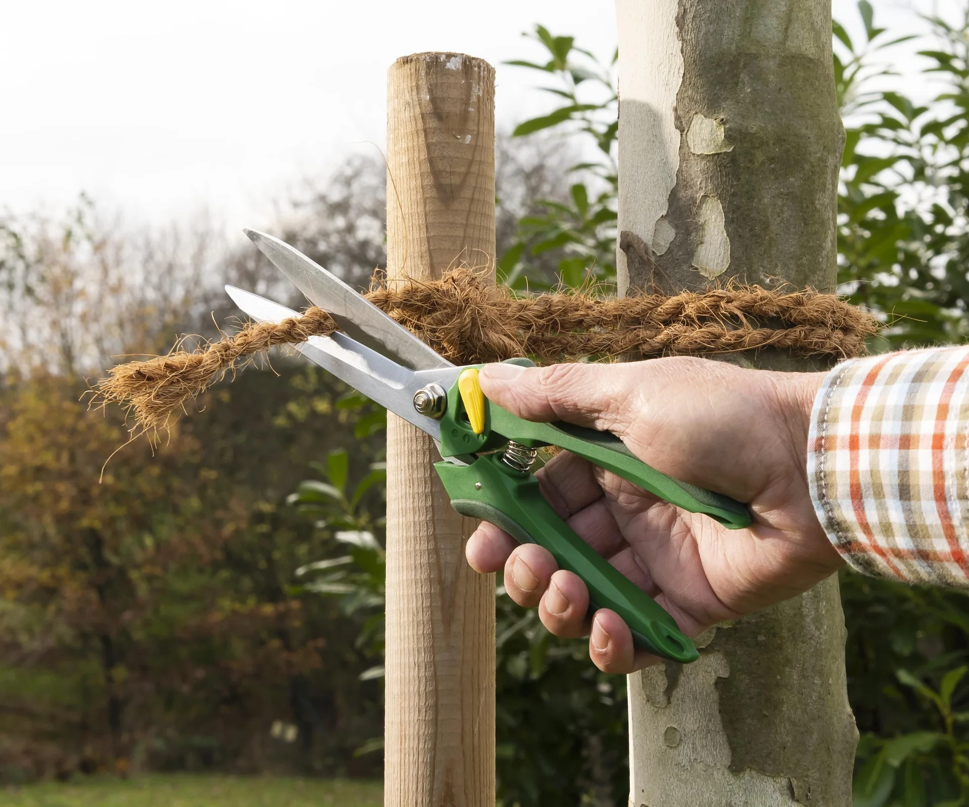 Einhand-Gartenschere, Multi - 5