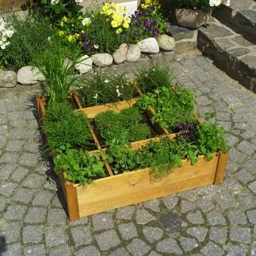 Kräuterbeet - 1