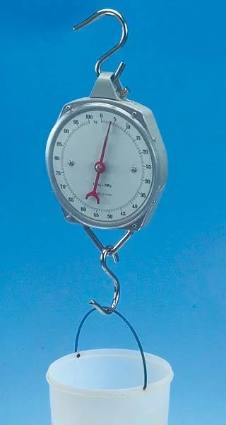 Zeigerschnellwaage bis 50 kg, Strichunterteilung 1 kg, 200 g - 2