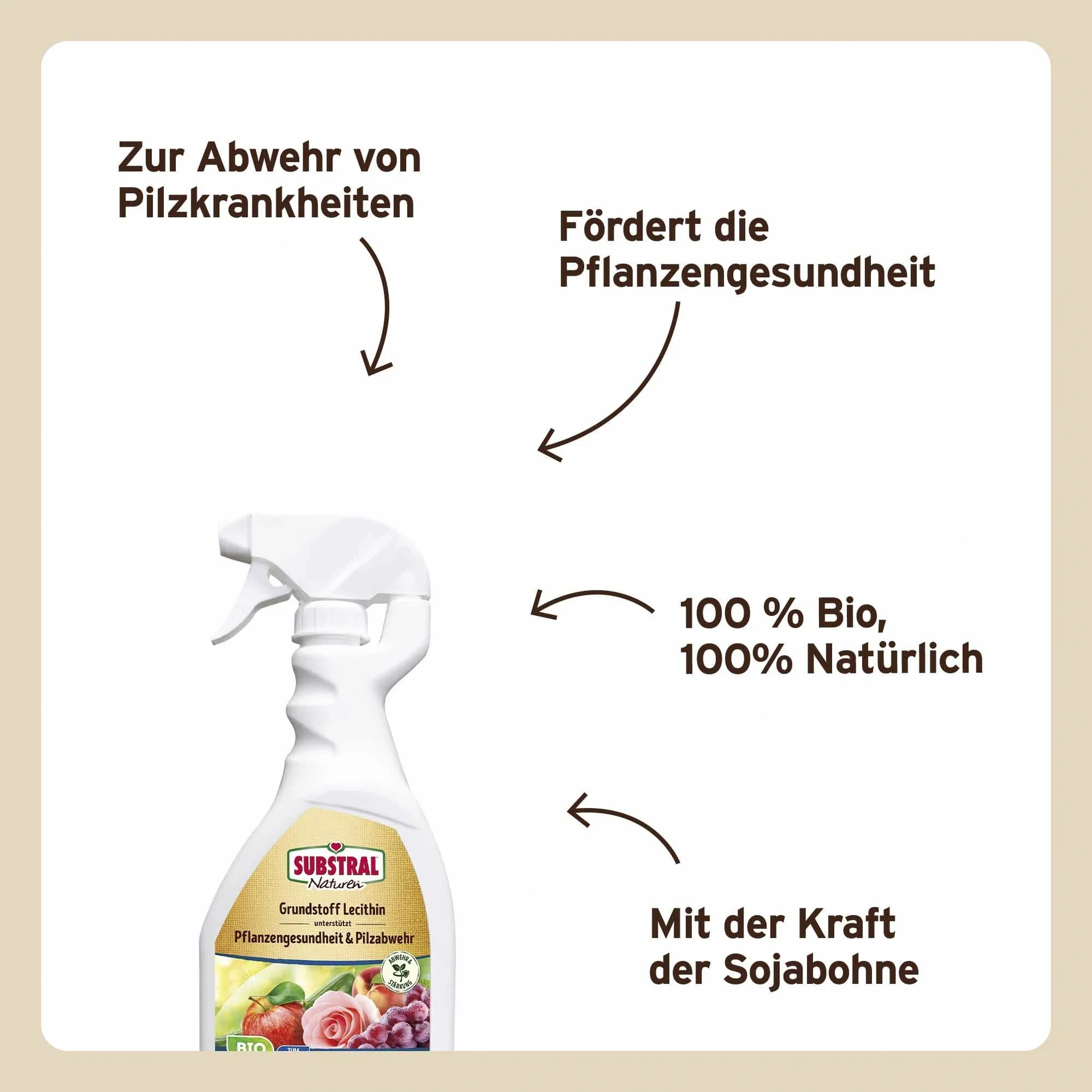Grundstoff Lecithin Spray 750 ml - 16