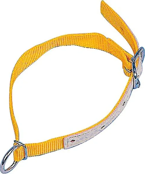 Halsriemen für Schafe, 60 cm - 1