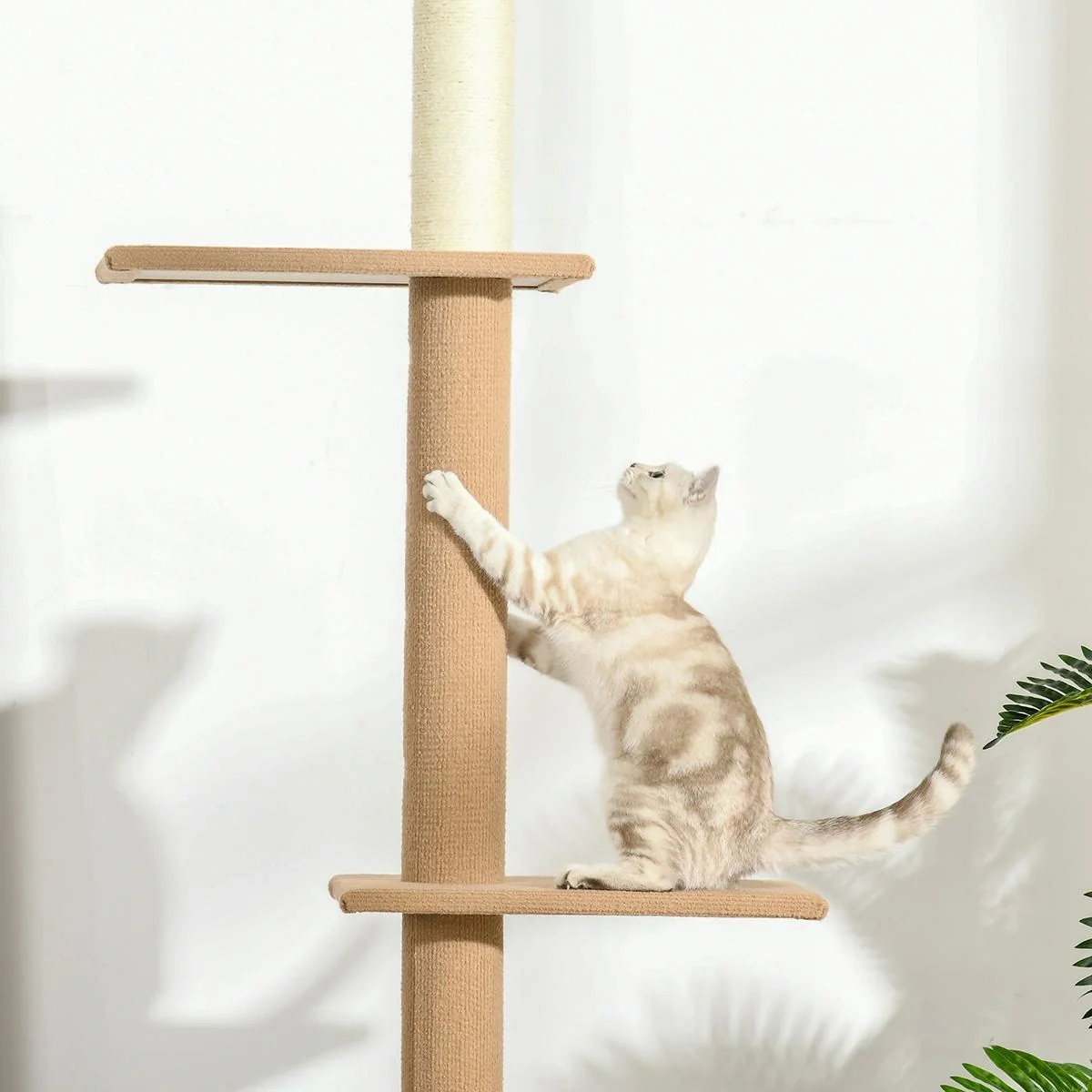 Kratzbaum Katzenbaum Kletterbaum f - 5