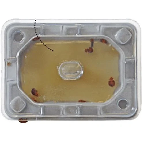 Catchmaster Slider Bettwanzenmonitor - 2