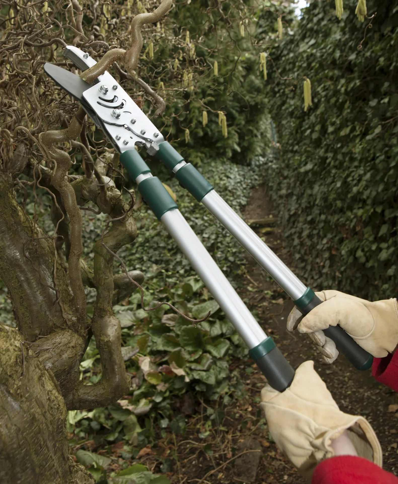 Merged gallery from WF-984106: Anvil twig shears with telescopic handle, 50 mm cutting thickness - 2
