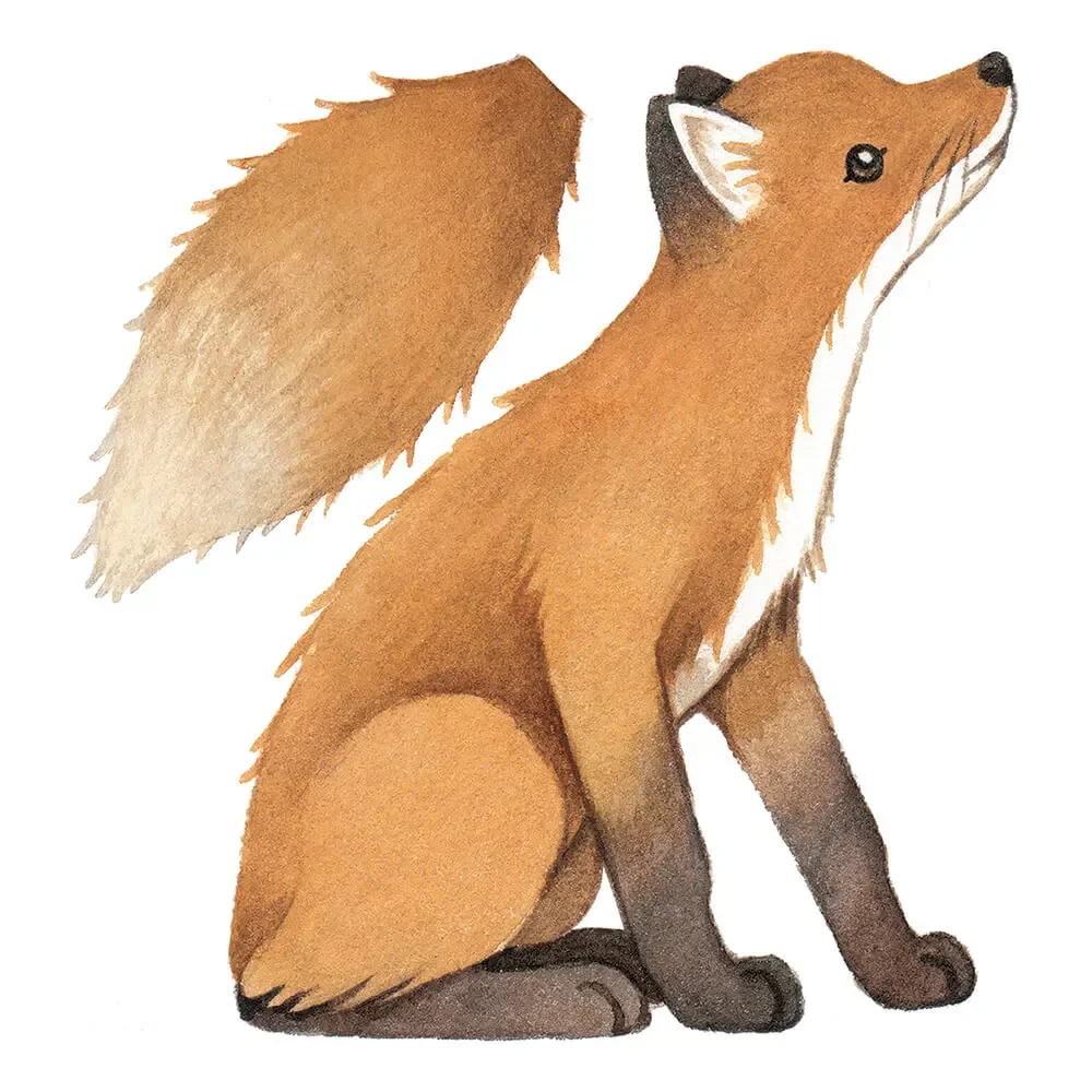Lilipinso-Wandsticker-grosser-Fuchs-orange-465365_1.jpg