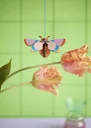 Studio-ROOF-Ornament--Bastel-Set--3D-Wandobjekt-Hummel-99925082_1.jpg