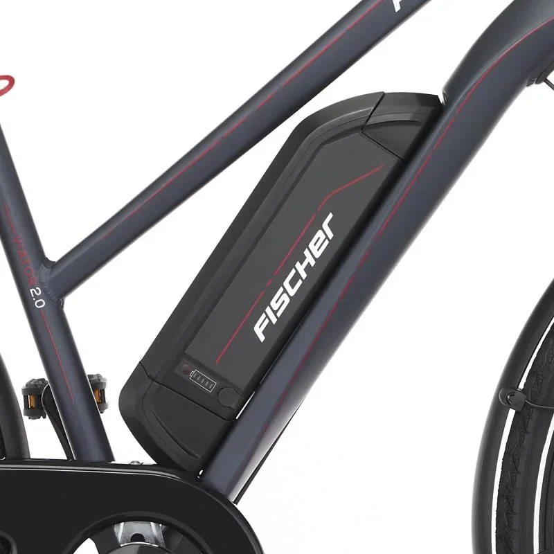 Damen E-Bike Trekking, 28 Zoll, Rahmengröße 44cm, 8-Gang Kettenschaltung, anthrazit matt, VIATOR 2.0 - 7
