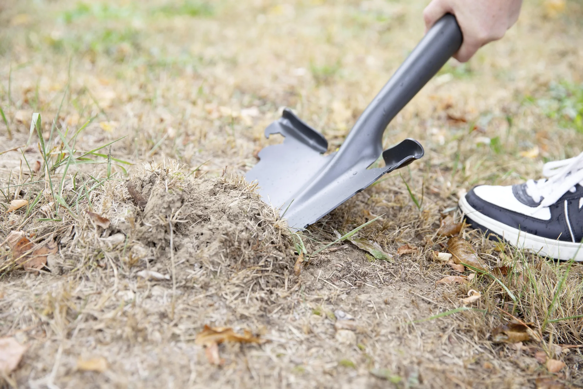Hammersmith Rayzer Shovel - 6
