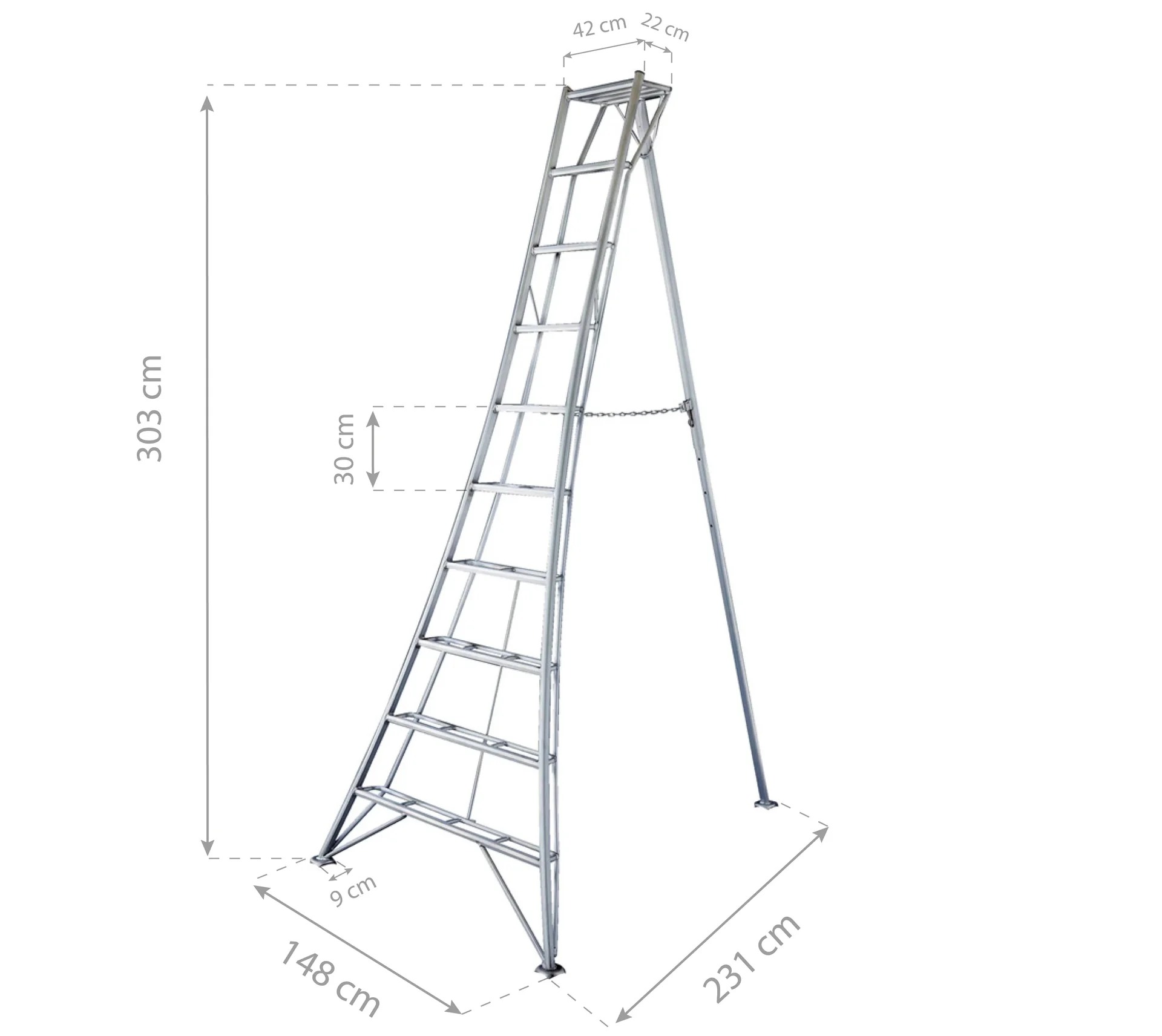 3-Holm-Gartenleiter, 300 cm - 1