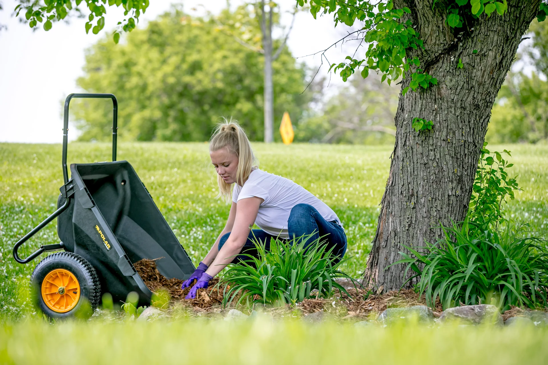 Schubkarre Cub Cart - 2
