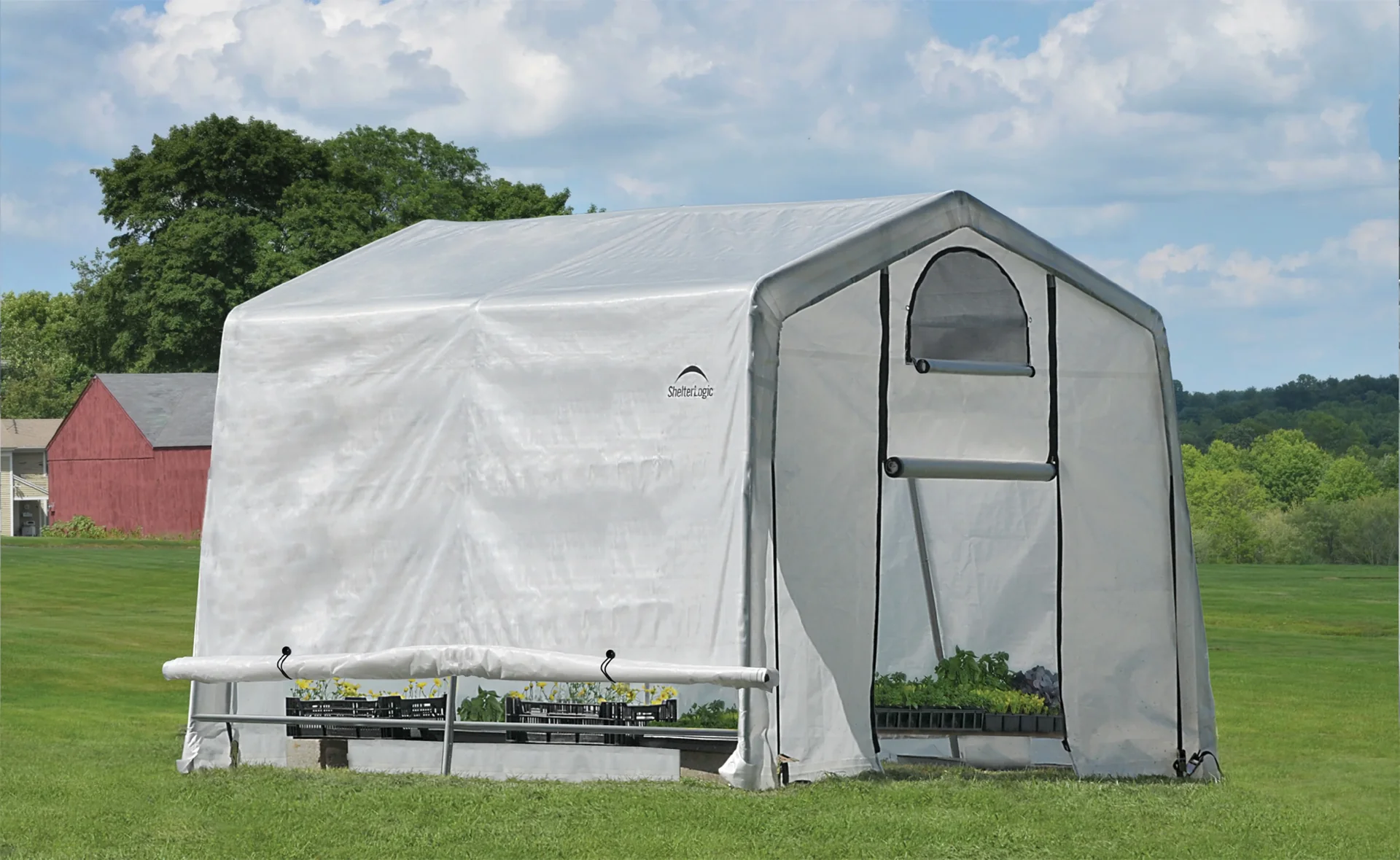 Gewächshaus 9 m², weiß - 3