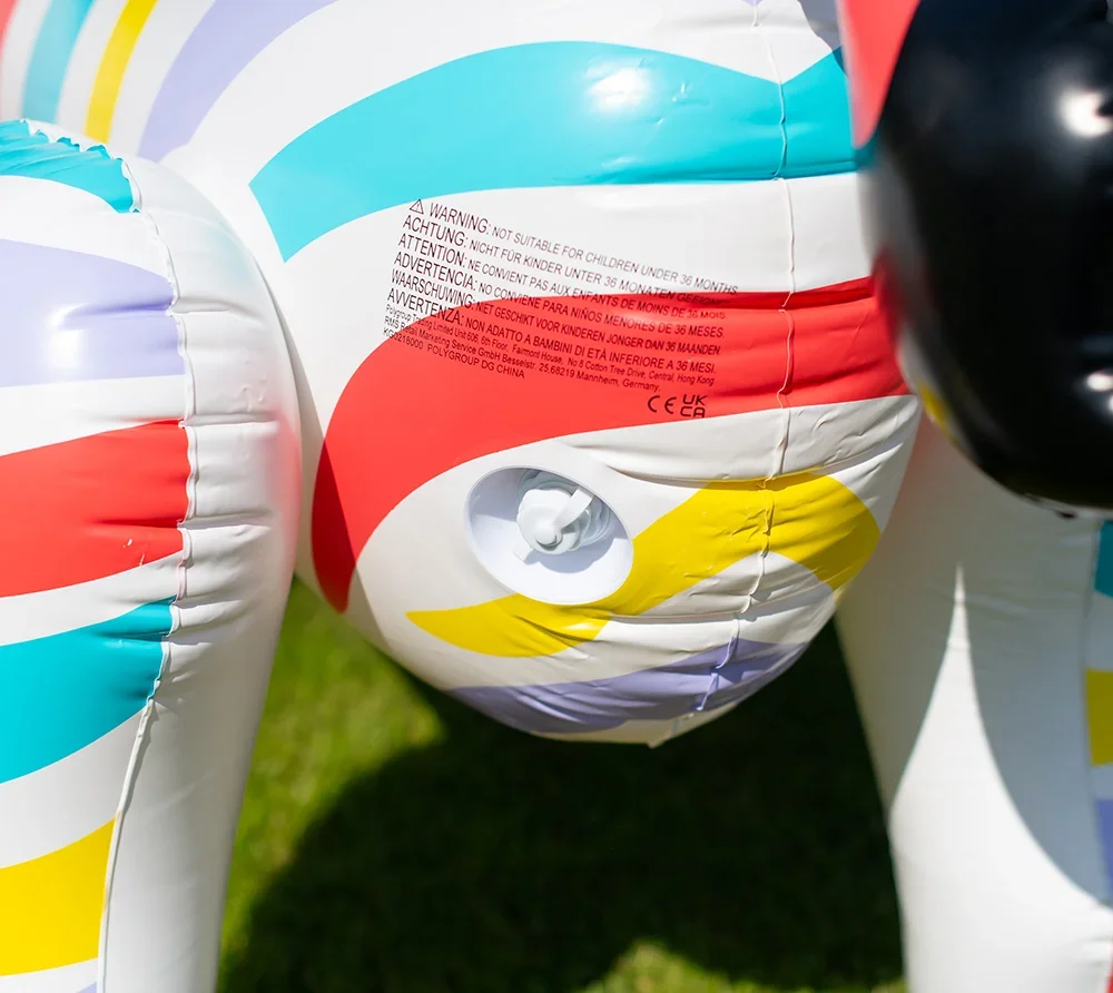 Zebra - 7