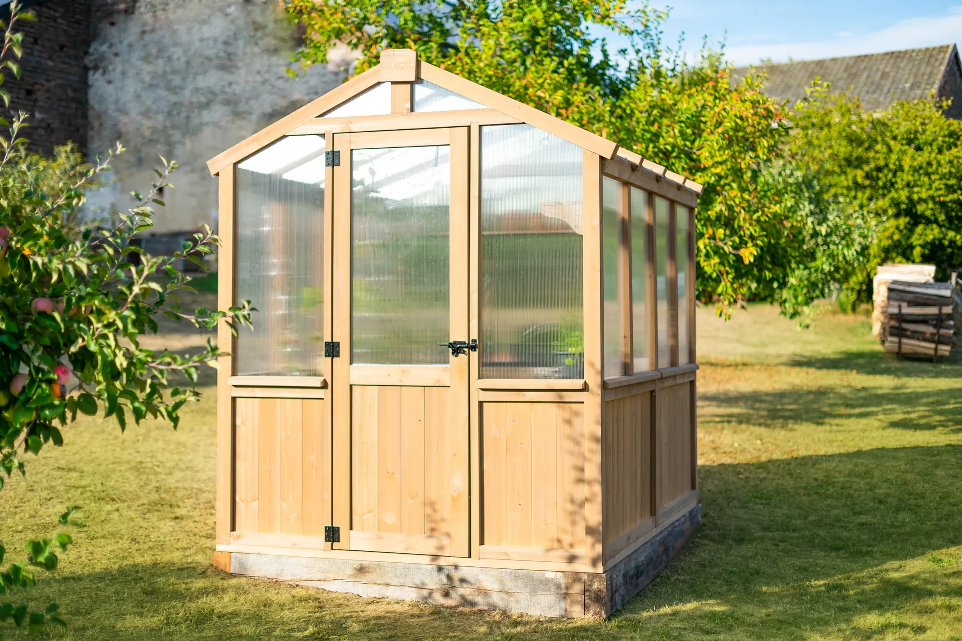 Gewächshaus Paul - 7