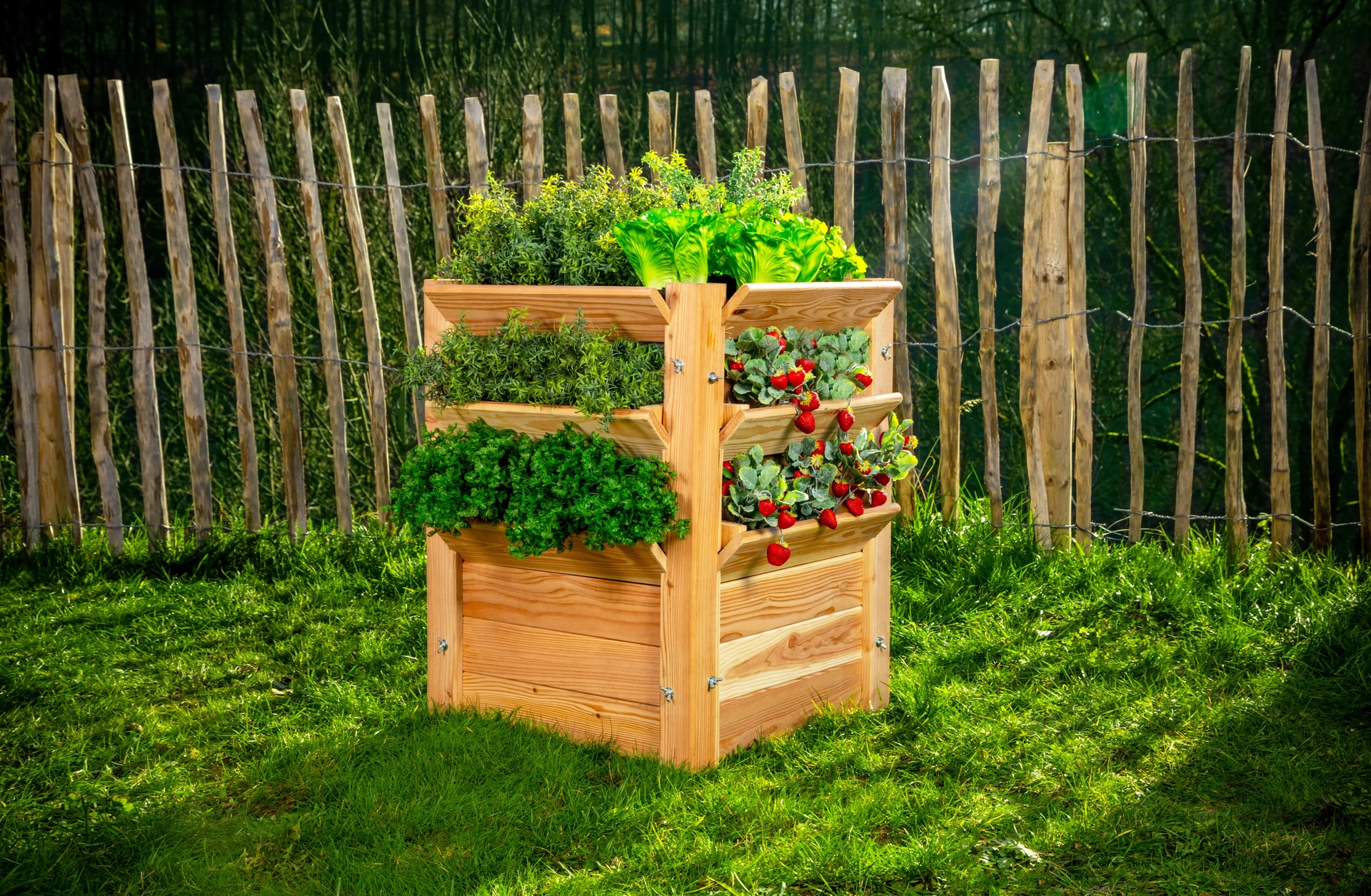 Premium Hochbeet L - 2
