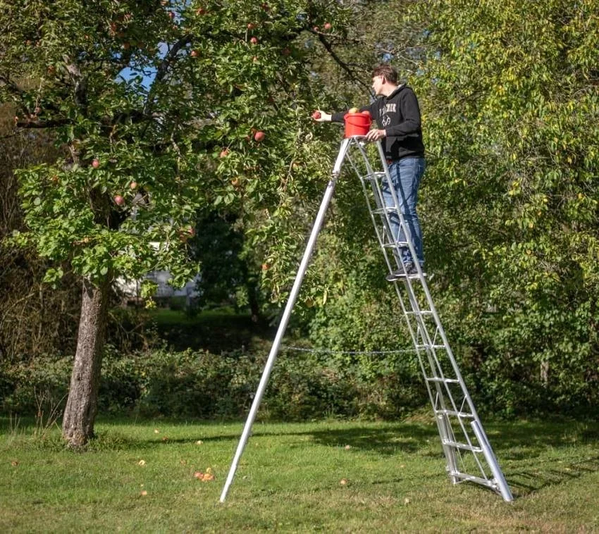 3-Holm-Gartenleiter, 330 cm, höhenverstellbar - 1