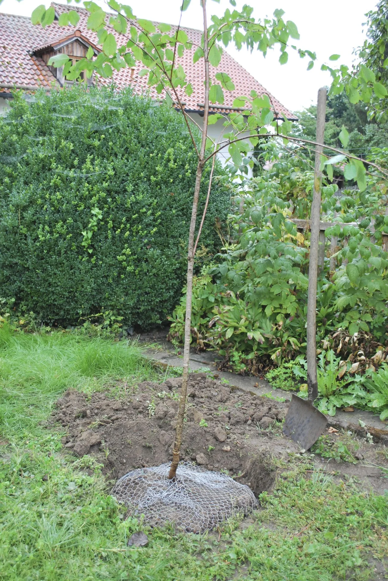 Wühlmauskorb groß - 4