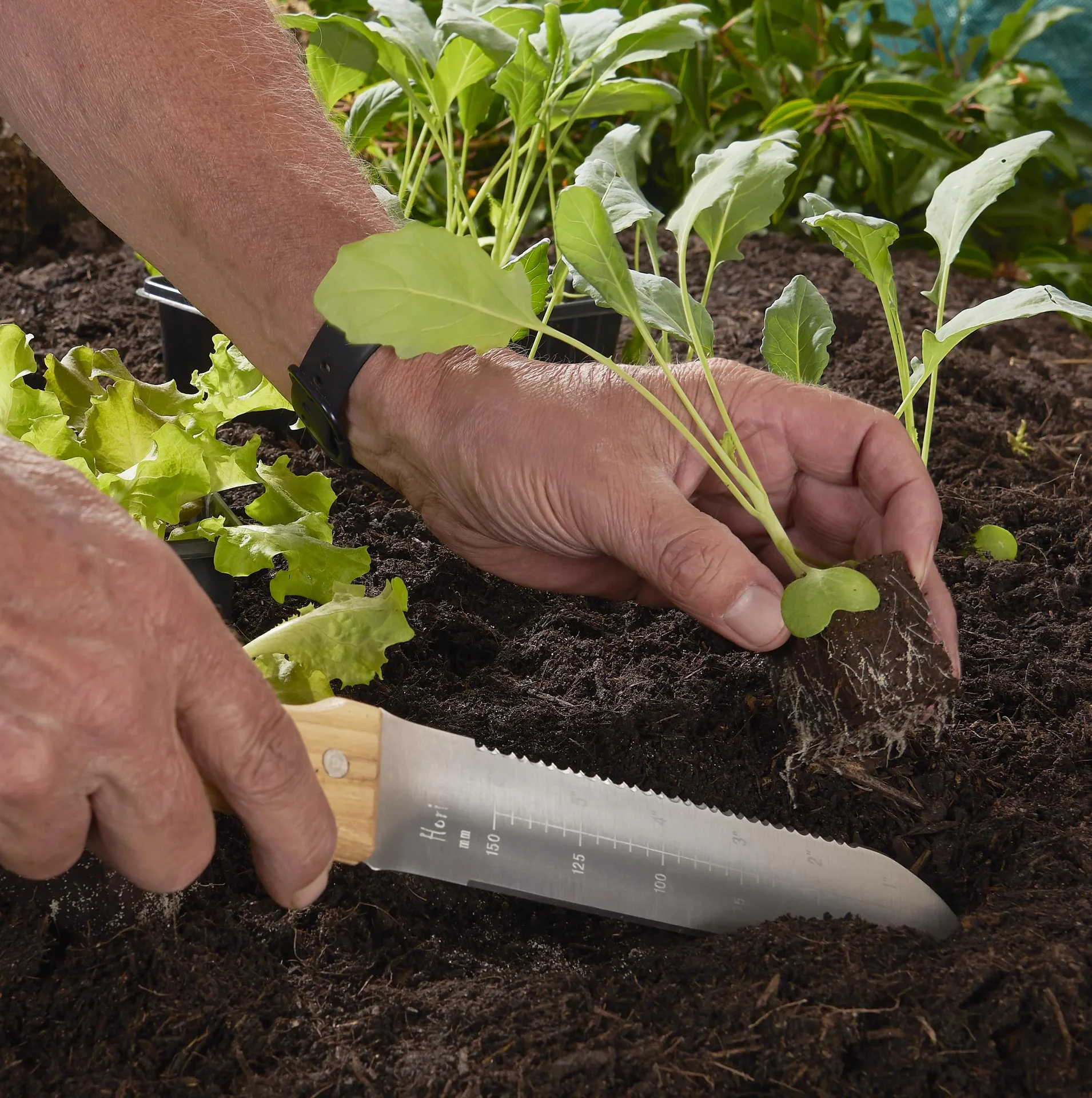 Hori-Hori Gartenmesser - 3