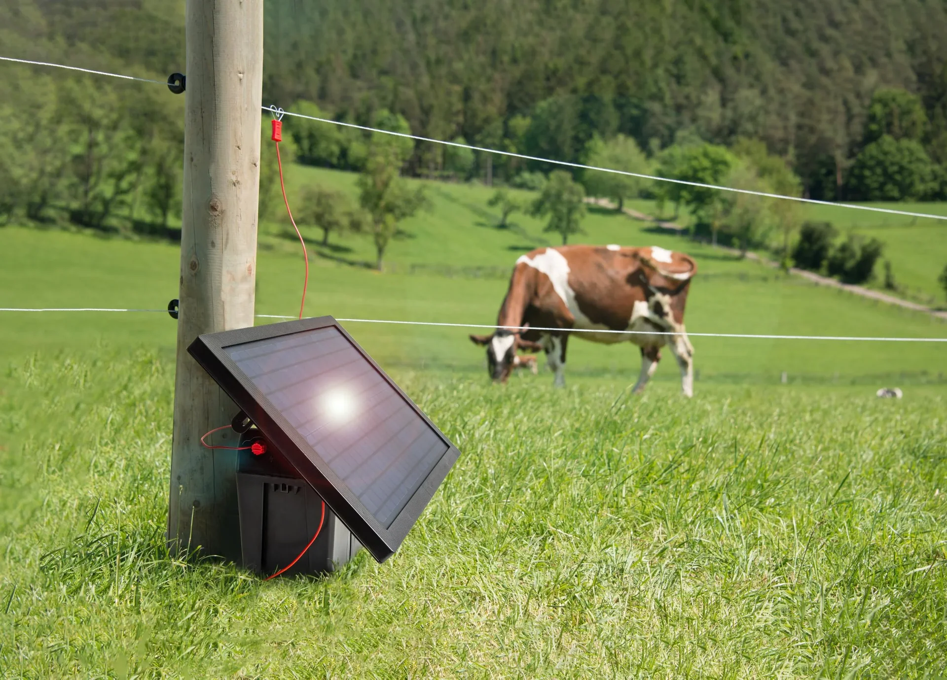 Solar-Weidezaungerät ranger AS120 - 0