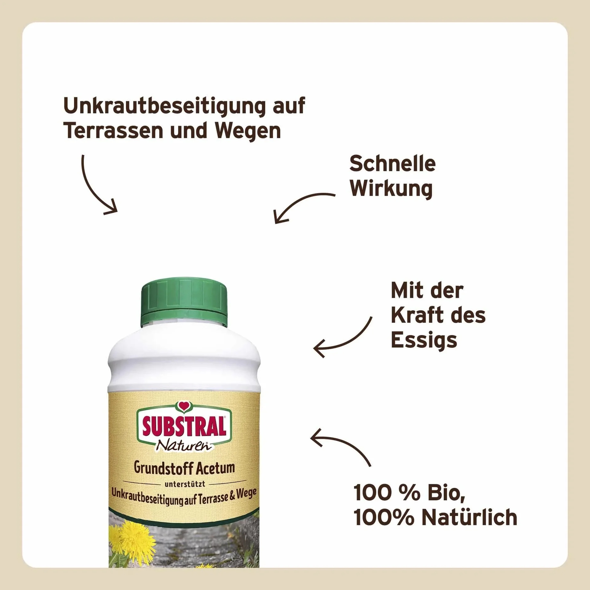 Grundstoff Acetum 1 Liter - 4
