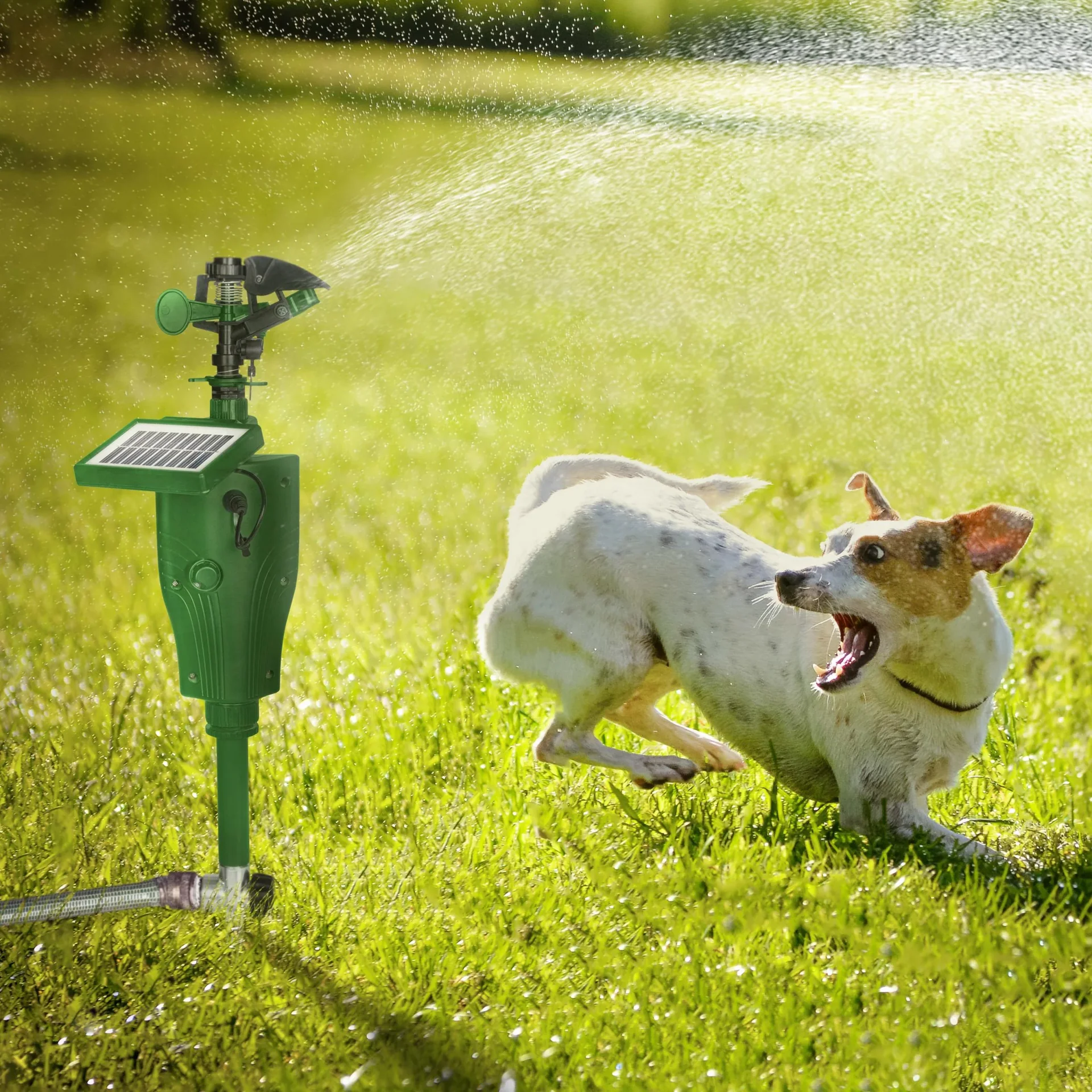 Solar Wasser-Tierabwehr - 0