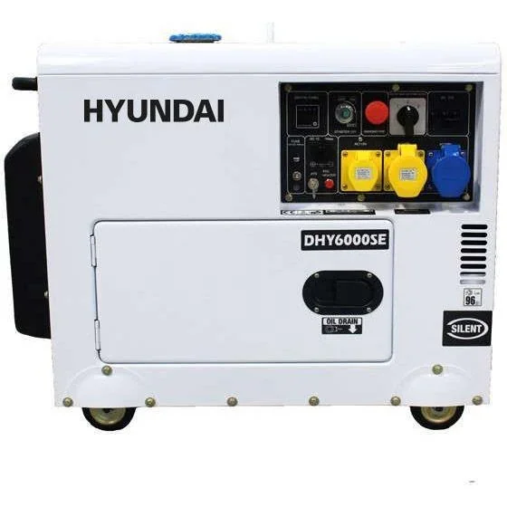 Standby-Dieselgenerator 5,3 kW - 1