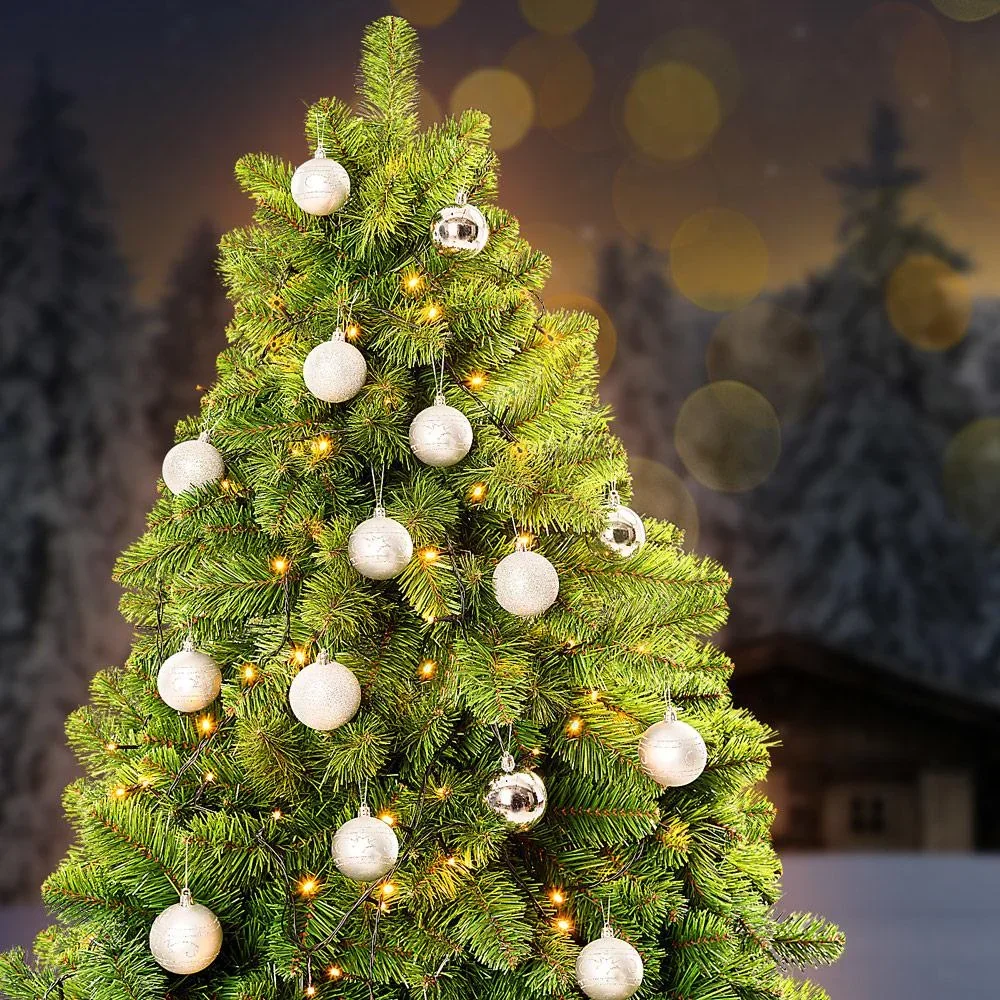 Weihnachtskugeln 24 Stück Silber - Durchmesser 6cm - 5