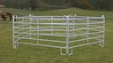 Weidepanel - Zaunelement 3,0 m Länge, 1,7 m Höhe