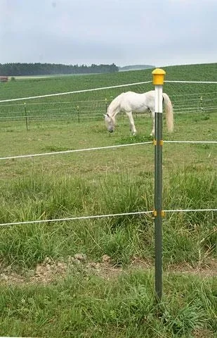 Metallpfahl T-Post, 213 cm, 60 Stück