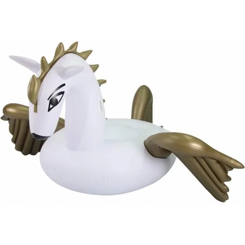 Comfortpool Pegasus