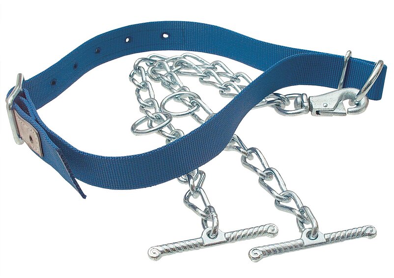 Halsbänder für Kühe - blau